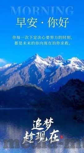 大象传媒官网是多少-探寻大象传媒的数字门户——揭秘其官网地址